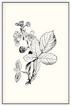 Braam Zwart-Wit (Blackberry) - Foto op Akoestisch paneel - 60 x 90 cm