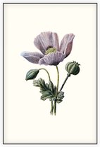 Slaapbol (Poppy White) - Foto op Akoestisch paneel - 80 x 120 cm