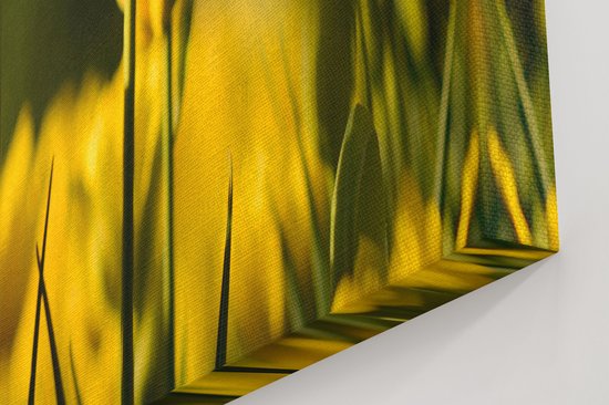 Artaza - Peinture Sur Toile - Tulipes Jaunes - Fleurs - 120x40 - Groot - Photo Sur Toile - Impression Sur Toile