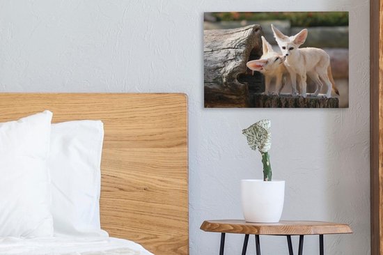 Deux adorables renards Fennec sur un tronc d'arbre Toile 30x20 cm - petit - Tirage photo sur Toile peinture (Décoration murale salon / chambre) / Animaux sauvages Peintures sur toile