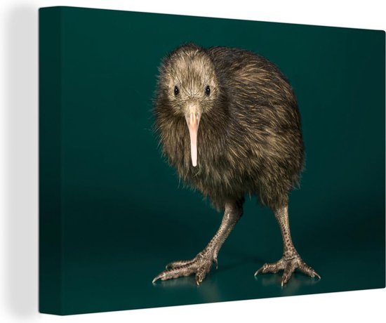 Peinture sur toile 180x120 cm - Décoration murale Kiwi - Vogel - Vert - Décoration murale murale salon - Décoration chambre - Accessoires de chambre - Peintures