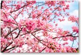 Roze Bloesem met een Blauwe Lucht - 1500 Stukjes puzzel voor volwassenen - Besteposter - Landschap - Natuur - Bloemen
