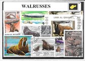 Walrussen – Luxe postzegel pakket (A6 formaat) : collectie van verschillende postzegels van walrussen – kan als ansichtkaart in een A6 envelop - authentiek cadeau - kado - geschenk