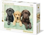 legpuzzel Drie Labradors 1000 stukjes