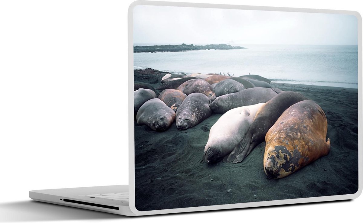 Afbeelding van product SleevesAndCases  Laptop sticker - 11.6 inch - Zeehonden slapen op het zwarte strand