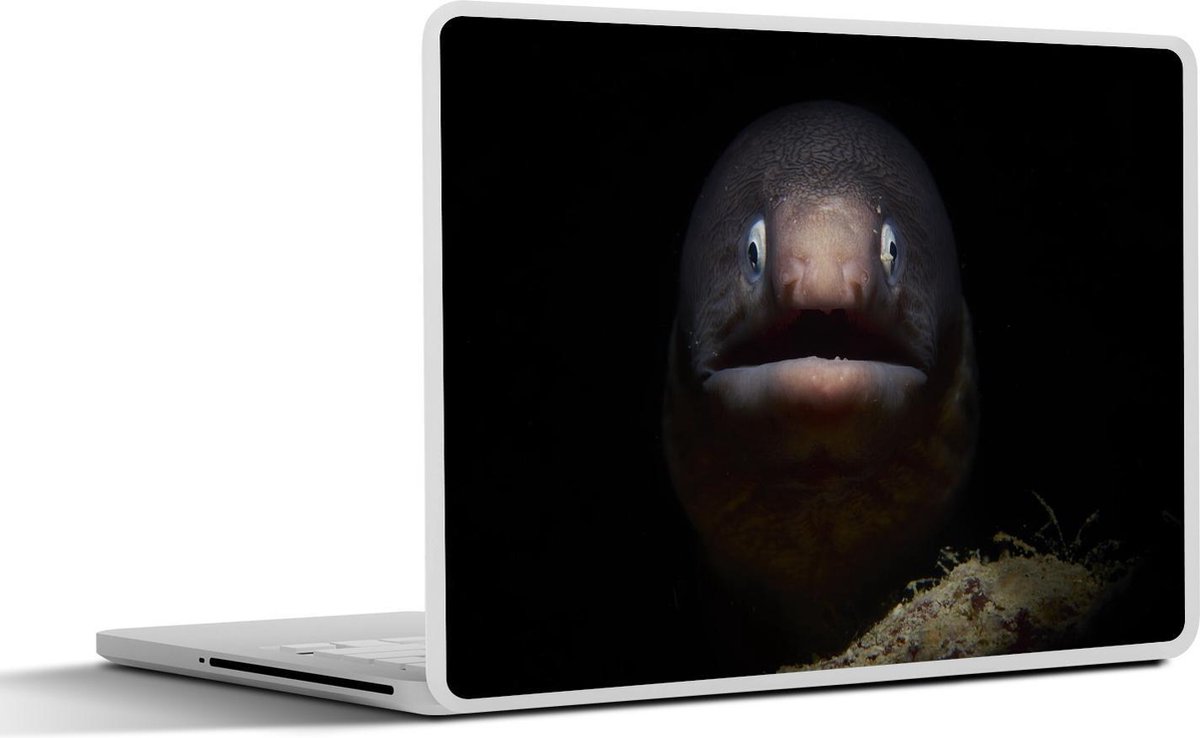 Afbeelding van product SleevesAndCases  Laptop sticker - 13.3 inch - Vis - Dier - Zwart