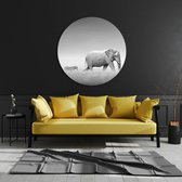 Artcoustiq - Muurcirkel - Elephant and zebra - 80ø cm
