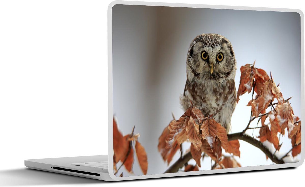 Afbeelding van product SleevesAndCases  Laptop sticker - 17.3 inch - Ruigpootuil zit tussen de herfstbladeren
