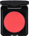 Make-up Studio Blusher in Box Type B - 43