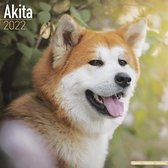 Akitas 2022 - 18-Monatskalender mit freier DogDays-App