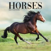 Horses - Pferde 2022 - 16-Monatskalender