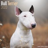 Bull Terriers Kalender 2022