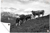 Tuinposter - Tuindoek - Tuinposters buiten - Een groep Alpen koeien op een heuvel - zwart wit - 120x80 cm - Tuin