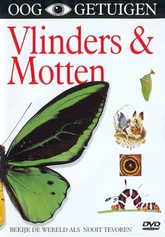Cover van de film 'Ooggetuigen - Vlinders & Motten'
