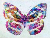 Diamond painting - Gekleurde vlinder - Geproduceerd in Nederland - 30 x 40 cm - dibond materiaal - vierkante steentjes - Binnen 2-3 werkdagen in huis