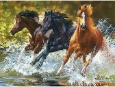 Diamond painting - Paarden in het water - Geproduceerd in Nederland - 30 x 40 cm - dibond materiaal - vierkante steentjes - Binnen 2-3 werkdagen in huis