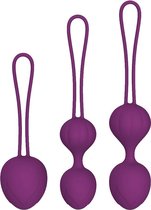 Hot Fantasy Vaginale balletjes Private Pleasure Balls Set Eternity Paars