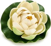 Ibergarden Waterlelie Lotus 10 X 6 Cm Eva Wit/groen