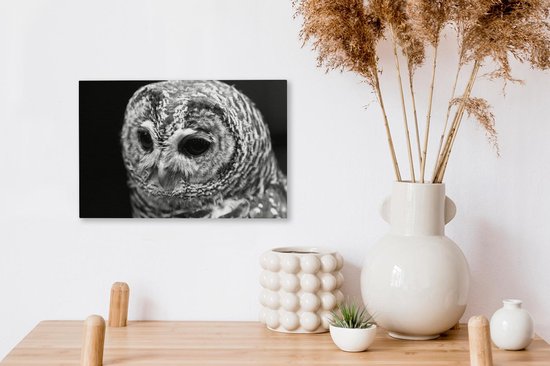 Peinture sur toile Chouette hulotte sur fond noir - noir et blanc - 30x20 cm - Décoration murale