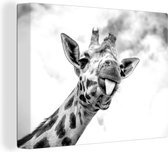 Tableau Tableau Girafe tirant la langue - noir et blanc - 160x120 cm - Décoration murale XXL
