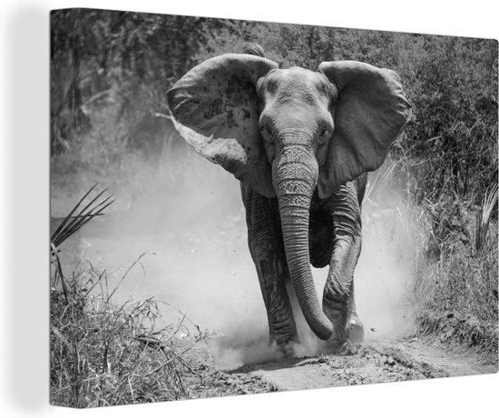 Canvas Schilderij Rennende olifant - zwart wit - 60x40 cm - Wanddecoratie