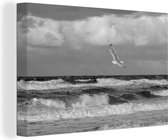 Canvas Schilderij Zeemeeuw boven de Oostzee - zwart wit - 120x80 cm - Wanddecoratie