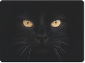 Muismat - Mousepad - Close-up zwarte kat - 40x30 cm