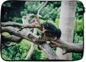 Laptophoes 14 inch - Jonge chimpansee in de jungle - Laptop sleeve - Binnenmaat 34x23,5 cm - Zwarte achterkant