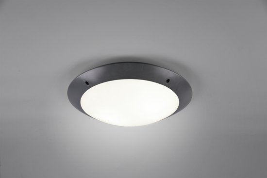 REALITY CAMARO - Plafondlamp - Antraciet - excl. 2x E27 4,9W - Buitenverlichting - IP54