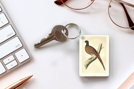 Porte-clés Antique Bird Prints - Antique oiseau imprimé faisan porte-clés en plastique - porte-clés rectangulaire avec photo