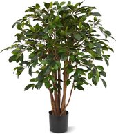 Maxifleur kunstplanten - Kunst Ficus Folia - Deluxe - Kunstplant - 80 cm - Niet van echt te onderscheiden!