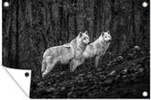 Tuinposter - Tuindoek - Tuinposters buiten - Twee witte wolven in een bos - zwart wit - 120x80 cm - Tuin