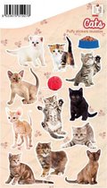 stickervel Cats junior 19 x 11 cm PVC lichtbruin/wit