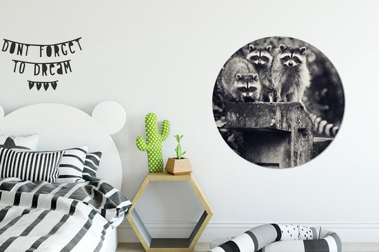 WallCircle - Wall Circle - Wall Circle Indoor - Ratons Laveurs - Pierre - Zwart- Wit - 90x90 cm - Décoration murale - Peintures Ronds