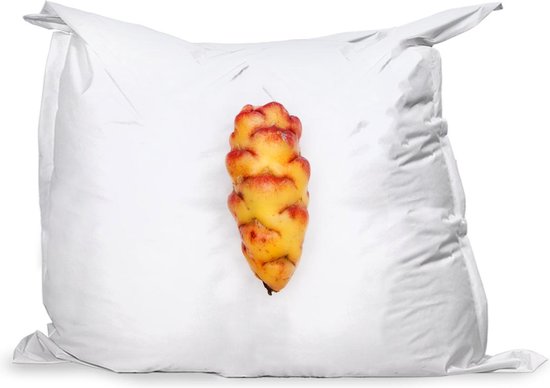 PillowMonkey zitzak - Rood gele oca met een fel witte achtergrond ...