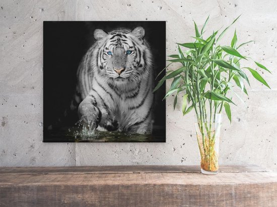Artaza - Peinture sur toile - Tigre aux yeux bleus - Zwart Wit - 30 x 30 - Klein - Photo sur toile - Impression sur toile