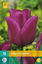 X 10 Tulipa Passionale