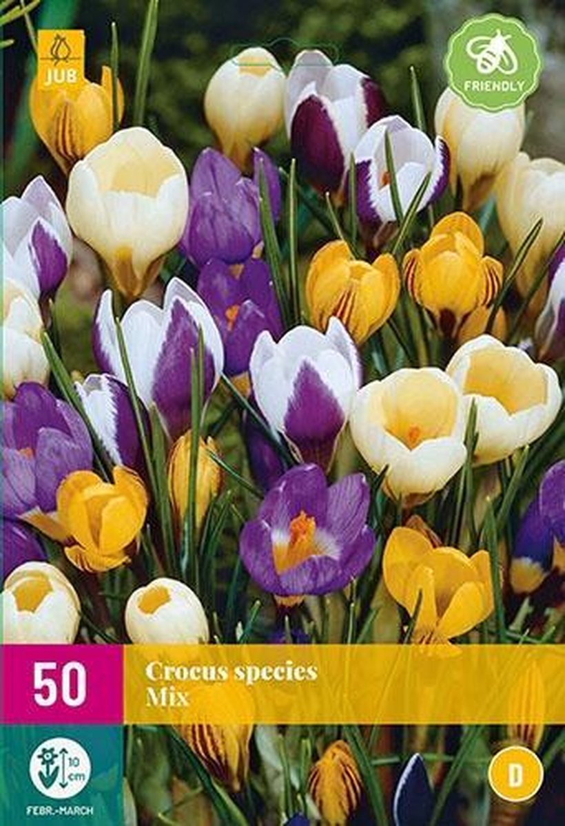 Jub Holland - bloembollen - Krokus/Crocus Species Mix - maat 5/+ - 50 stuks