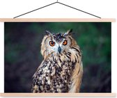Affiche textielposter Eagle Owl 60x40 cm