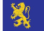 Vlag Leeuwarden 50x75cm
