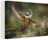 Kingfisher sort de l'eau avec un poisson 140x90 cm - Tirage photo sur toile (Décoration murale salon / chambre)