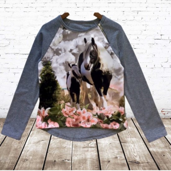 Shirt met paard grijs -s&C-98/104-Longsleeves meisjes