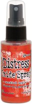 Ranger Distress Oxide Spray - Candied Apple TSO67610