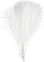 Kunstveren - wit - L: 15 cm - B: 8 cm - 10 stuks