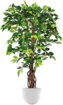 HTT - Kunstplant Ficus in Eggy wit H130 cm