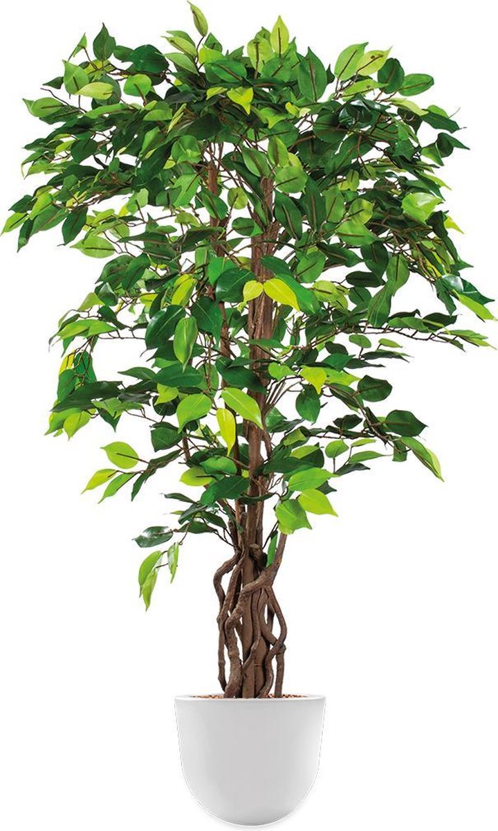 HTT Decorations Kunstplant Ficus in Eggy H130 cm Wit