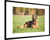 Fotolijst incl. Poster - Duitse herdershond ligt op het gras - 90x60 cm - Posterlijst