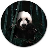 Tuincirkel Jungle Panda - WallCatcher | Tuinposter rond 100 cm |Buiten muurcirkel Jungle Reuzenpanda