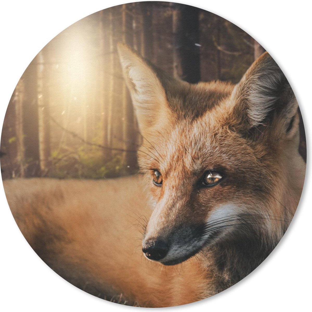Muismat rond 40x40 cm - Mousepad Dieren - Vos - Bos - Ronde muismatten