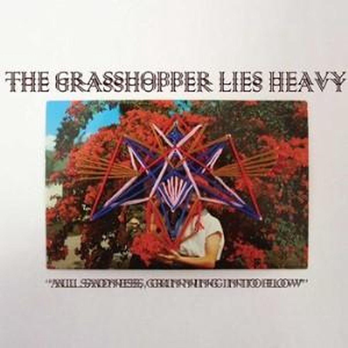 The Grasshoppers Lies Heavy - All Sadness, Grinning Into Flow (CD)